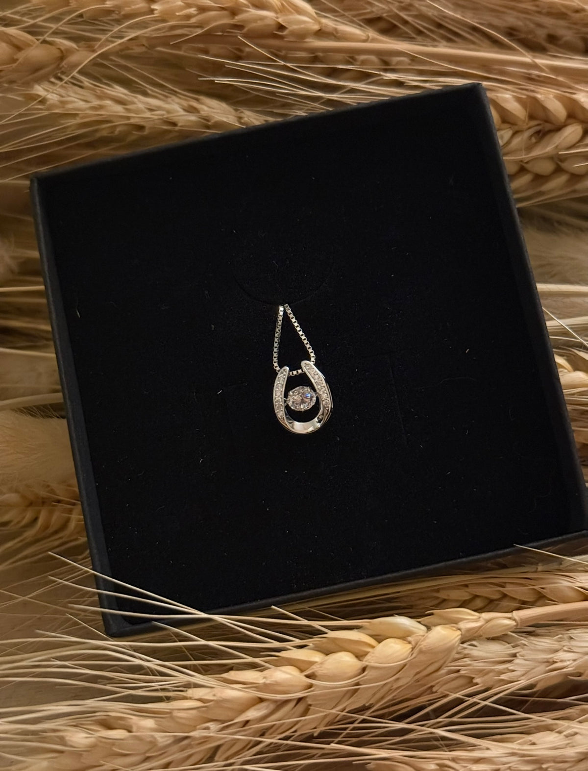 Aurora Horseshoe Necklace