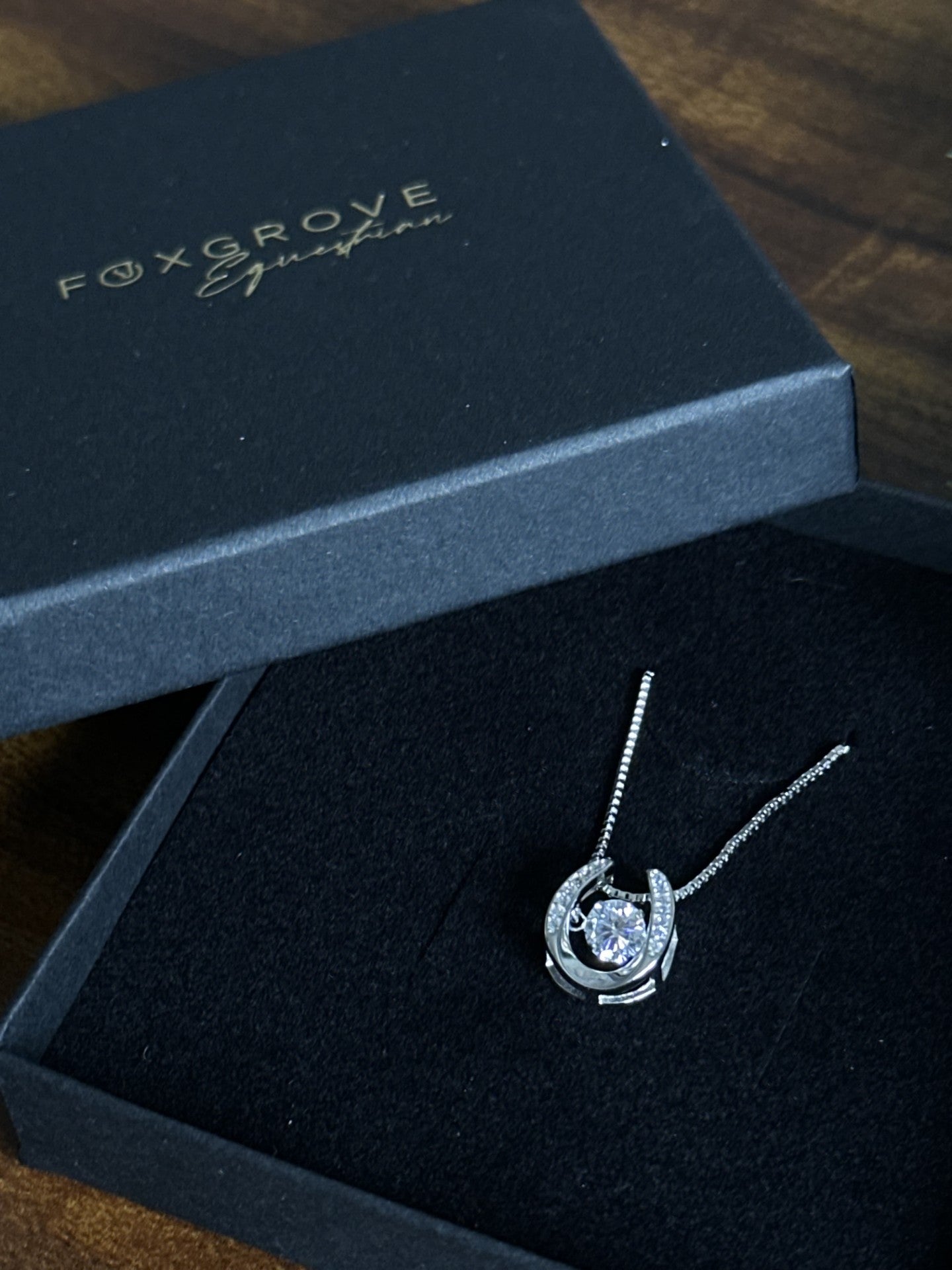 Aurora Horseshoe Necklace