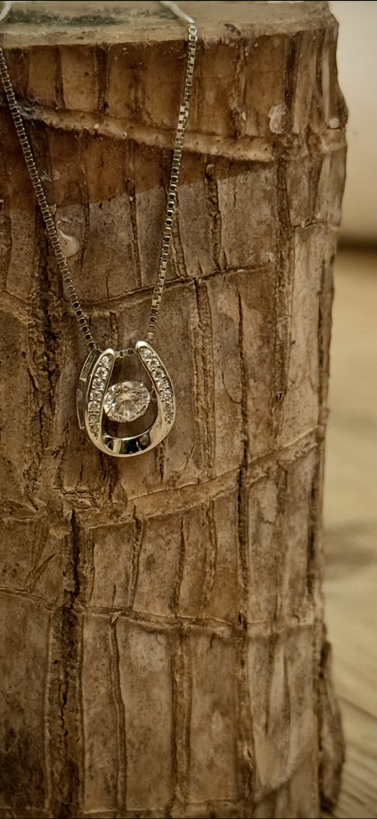 Aurora Horseshoe Necklace