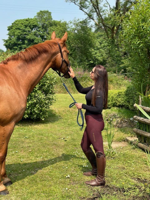 Wine Hybrid Breeches - Old Logo Clearance